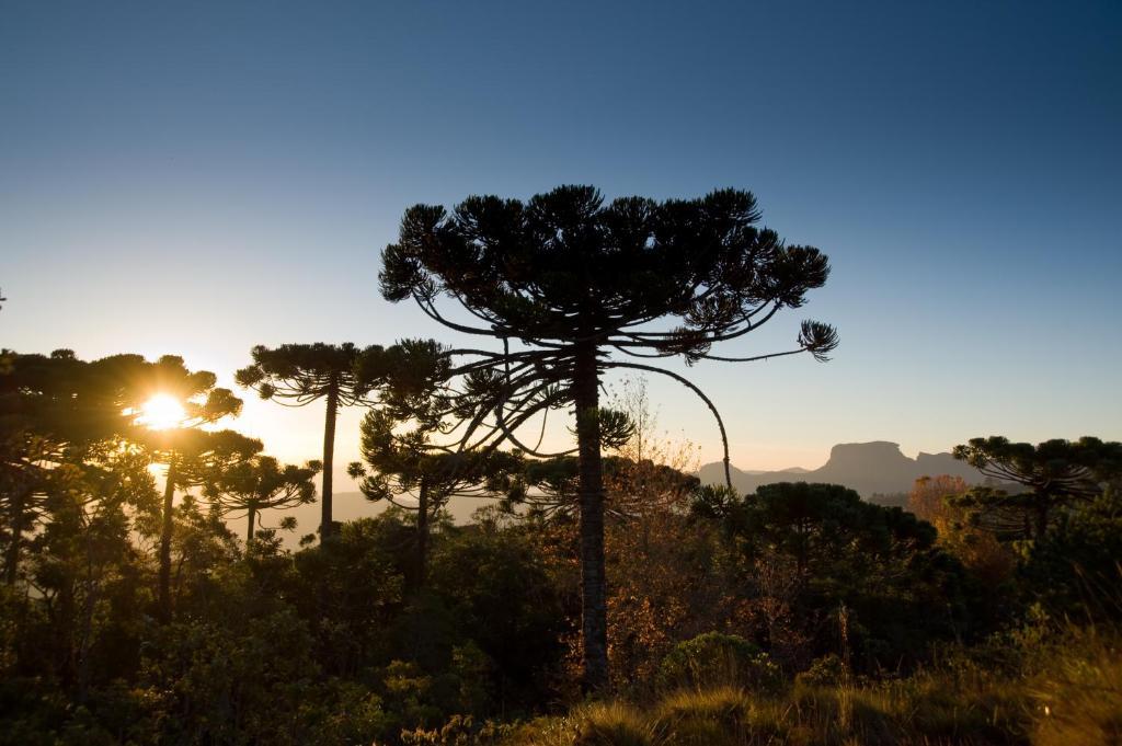 Hotel Frontenac Campos do Jordão Kültér fotó